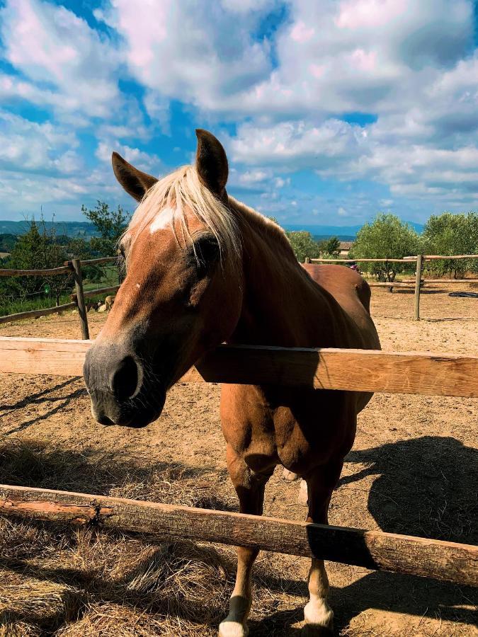 Relais Tenuta Gentili San Liberato Exteriör bild